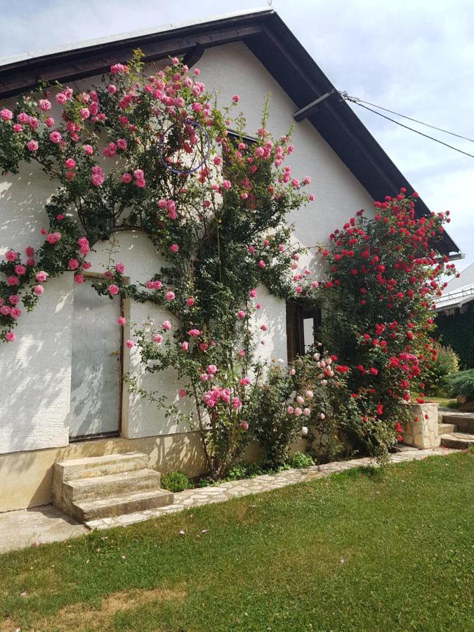 Apartman Ivano Διαμέρισμα Gospić Εξωτερικό φωτογραφία